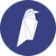 rvn logo